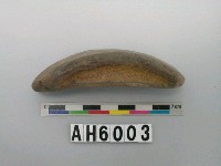 藏品(硬陶器底部)的圖片